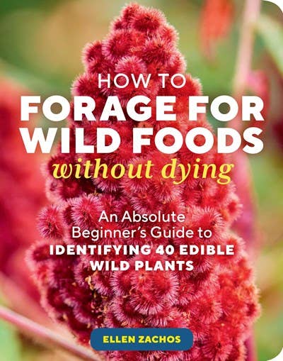 Hachette Book Group - How to Forage for Wild Foods without Dying