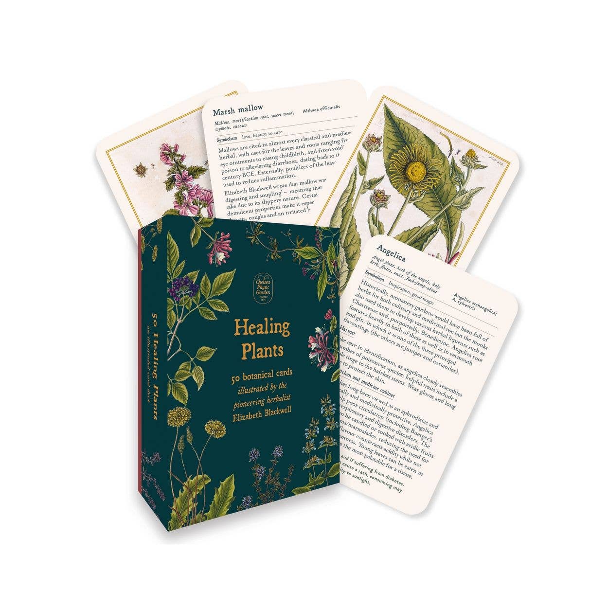 Hachette Book Group - Healing Plants