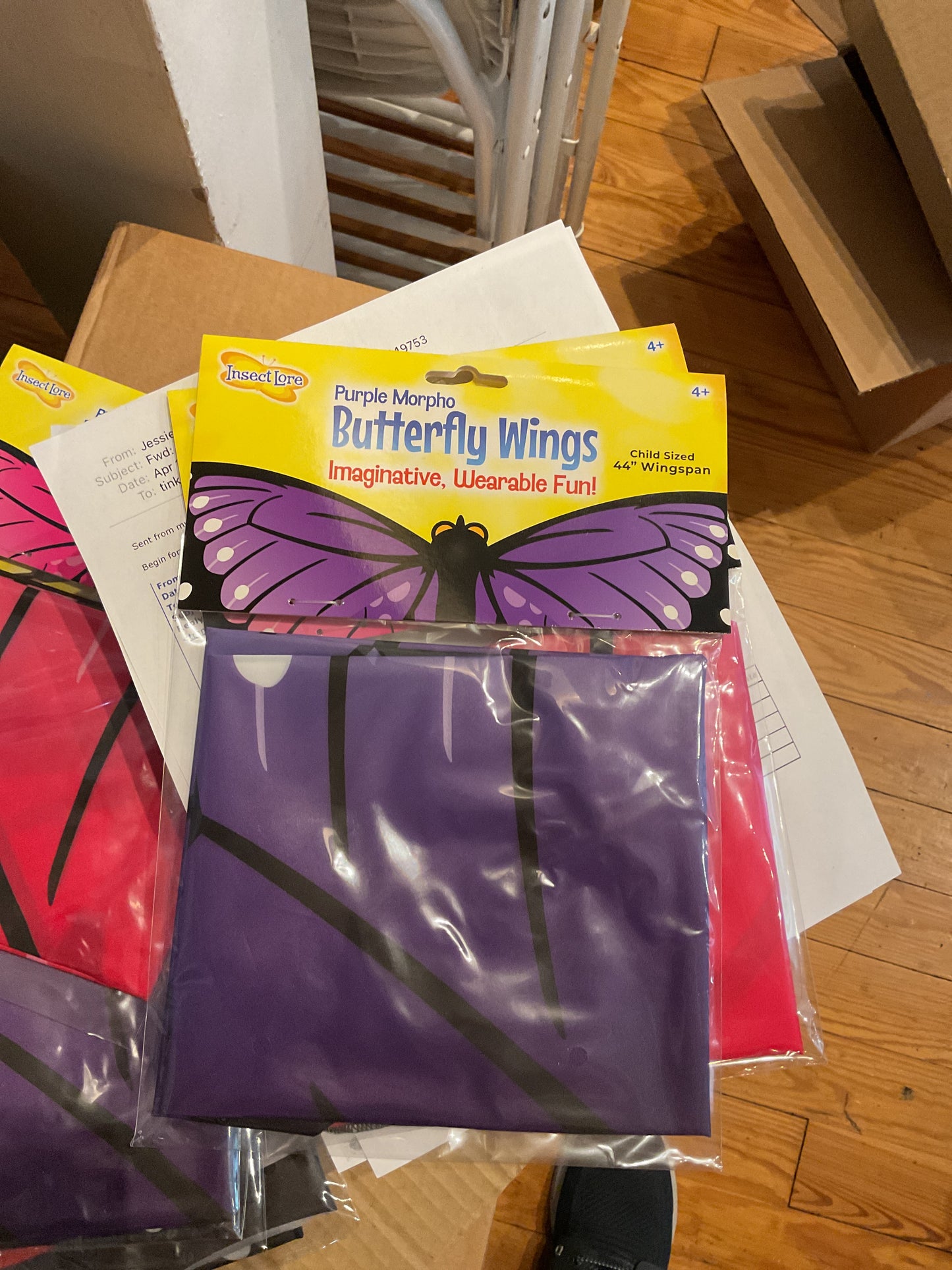 Morpho Butterfly Wings