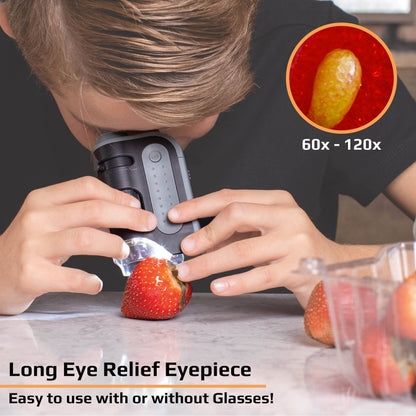 Carson - 60x-120x Lighted Pocket Microscope, Portable, Educational