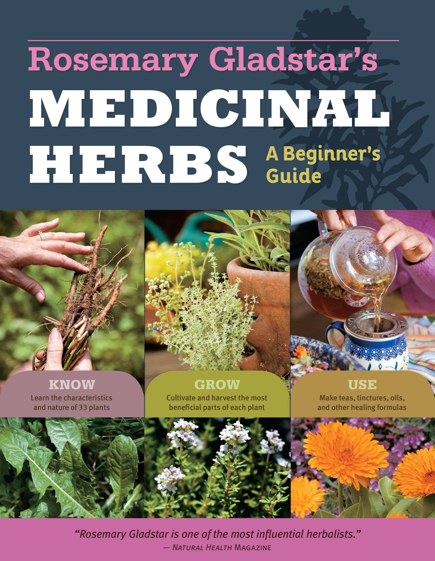 Hachette Book Group - Rosemary Gladstar's Medicinal Herbs: A Beginner's Guide
