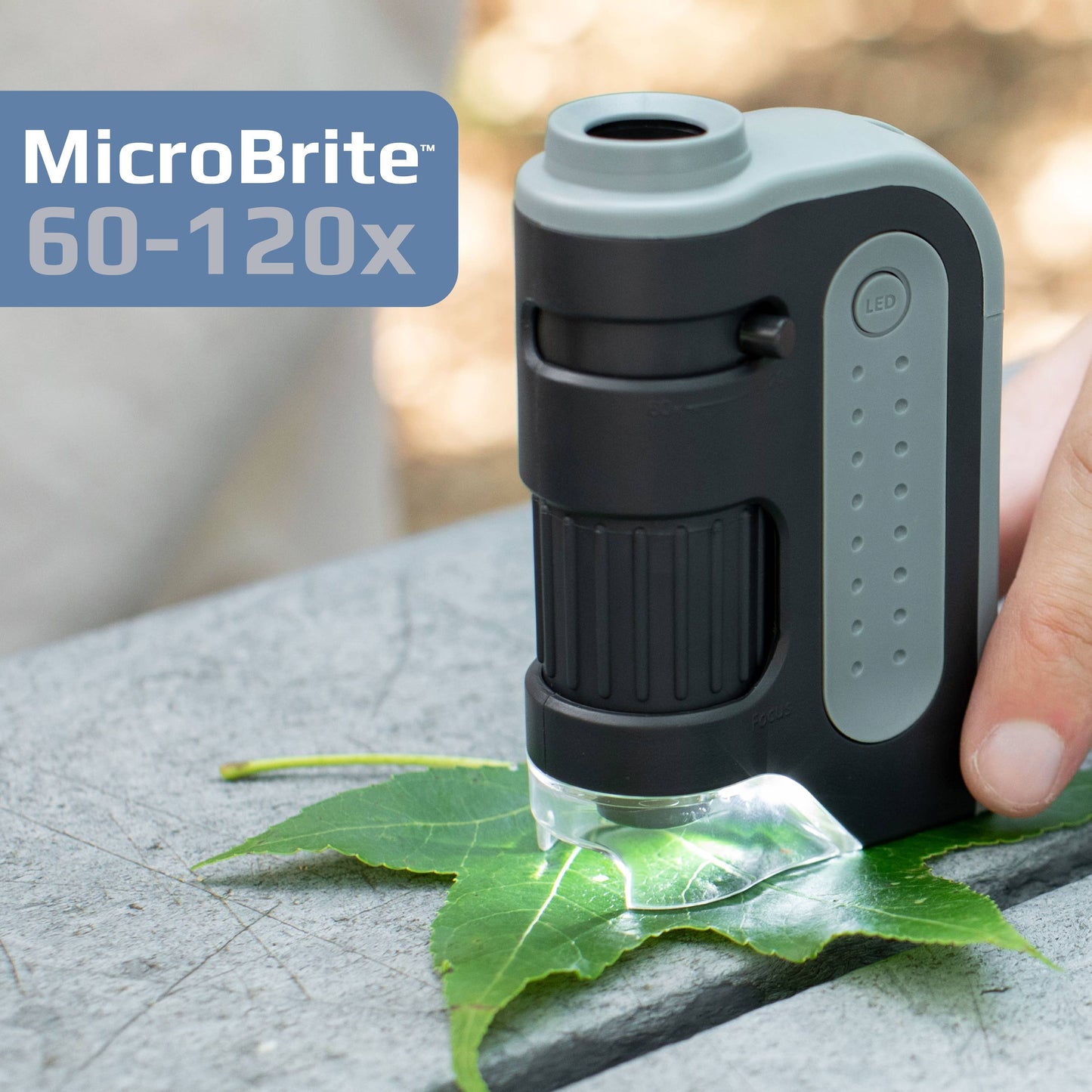 Carson - 60x-120x Lighted Pocket Microscope, Portable, Educational