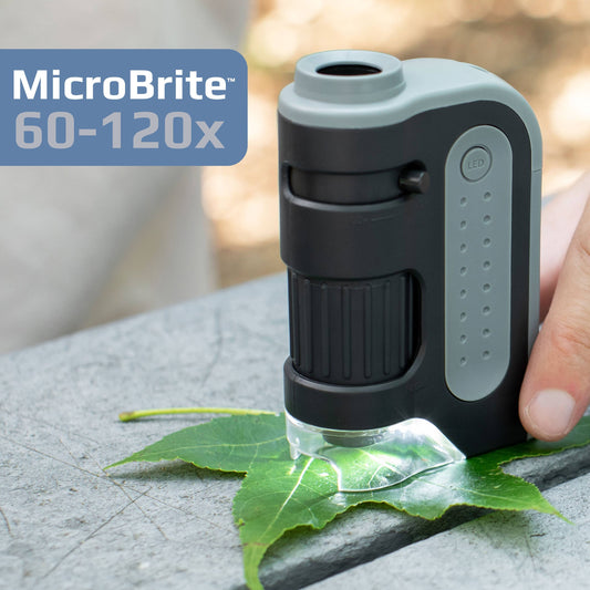 Carson - 60x-120x Lighted Pocket Microscope, Portable, Educational