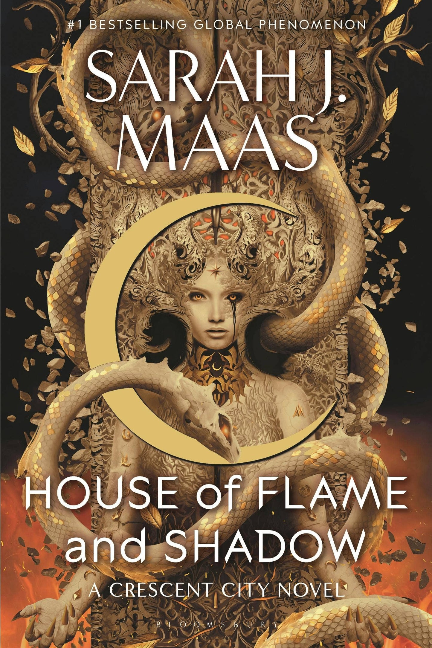 Macmillan Publishers - Flame And Shadow Paperback