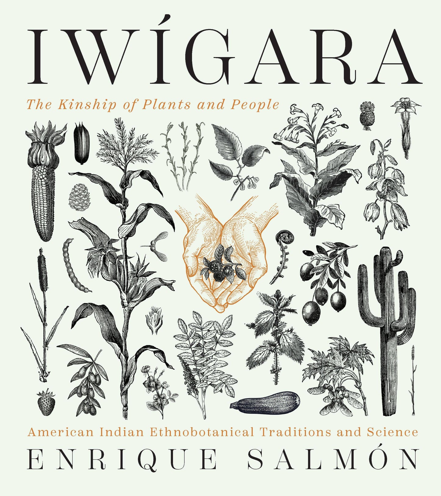 Hachette Book Group - Iwigara