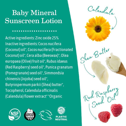 Earth Mama Organics - Baby Mineral Sunscreen Lotion - SPF 40