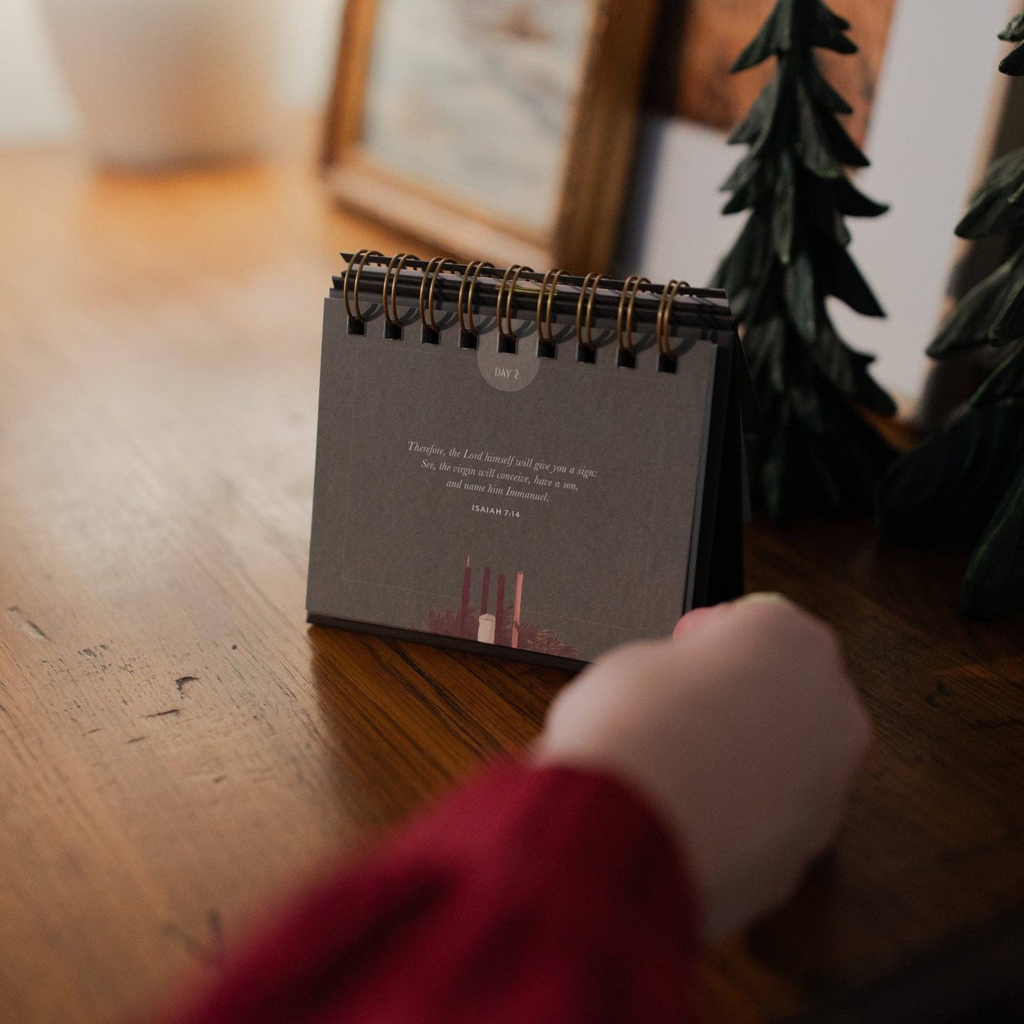 The Daily Grace Co - The Wonder of His Love | Daily Encouragement Flip Calendar for the Advent Season