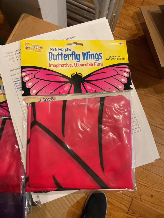 Morpho Butterfly Wings