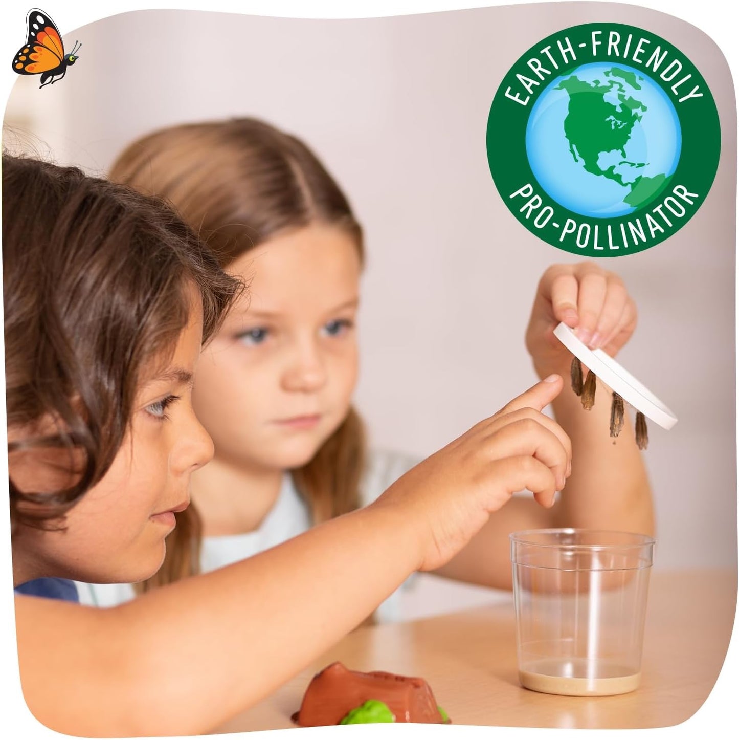 Insect Lore Raise and Release Butterfly Garden Kit