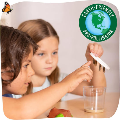 Insect Lore Raise and Release Butterfly Garden Kit