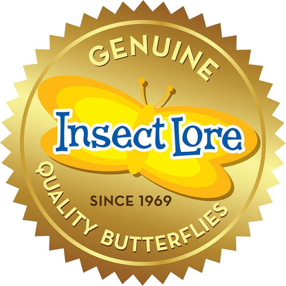 Insect Lore Raise and Release Butterfly Garden Kit