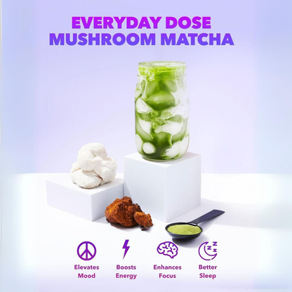 Everyday Dose - Everyday Dose Single Serving Matcha+